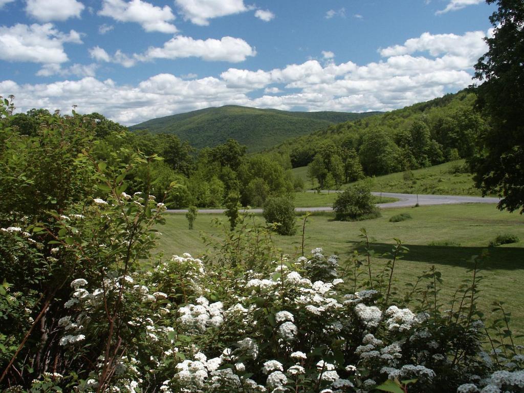 Mountain 3* Margaretville