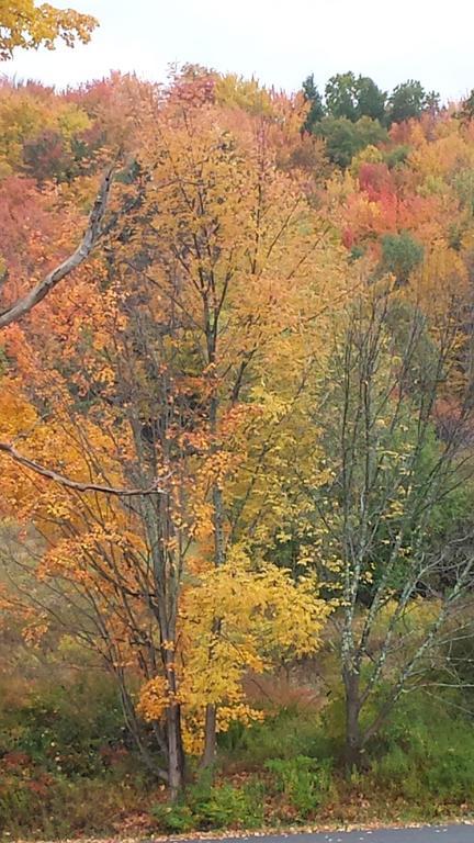 Bed & Breakfast Mountain 3*